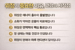 위장이 건강의 시작점인 이유를 핵심 메시지 5가지로 정리한 텍스트형 인포그래픽