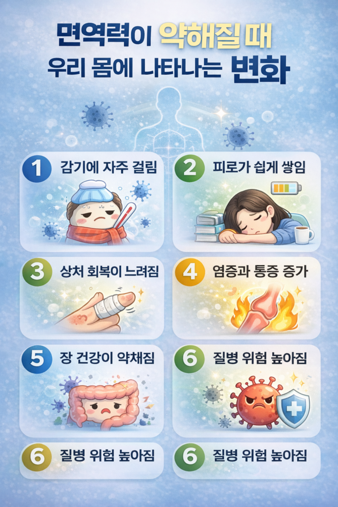 면역력이 약해질 때 나타나는 신체 변화를 정리한 인포그래픽